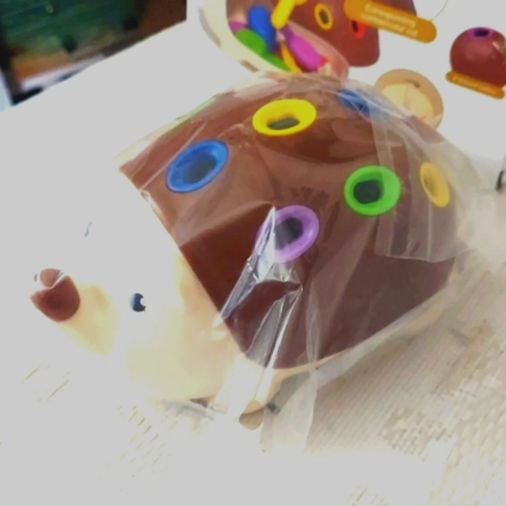 Hedgehog Sensory Toy Educational matching Sensory Board w Tabs New
